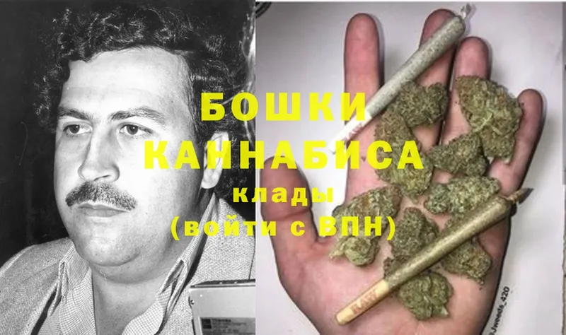 Купить наркотики цена Камышлов Alpha-PVP  Меф мяу мяу  ГАШ  Конопля  Cocaine 