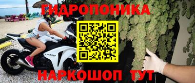 прущие крисы Гусев