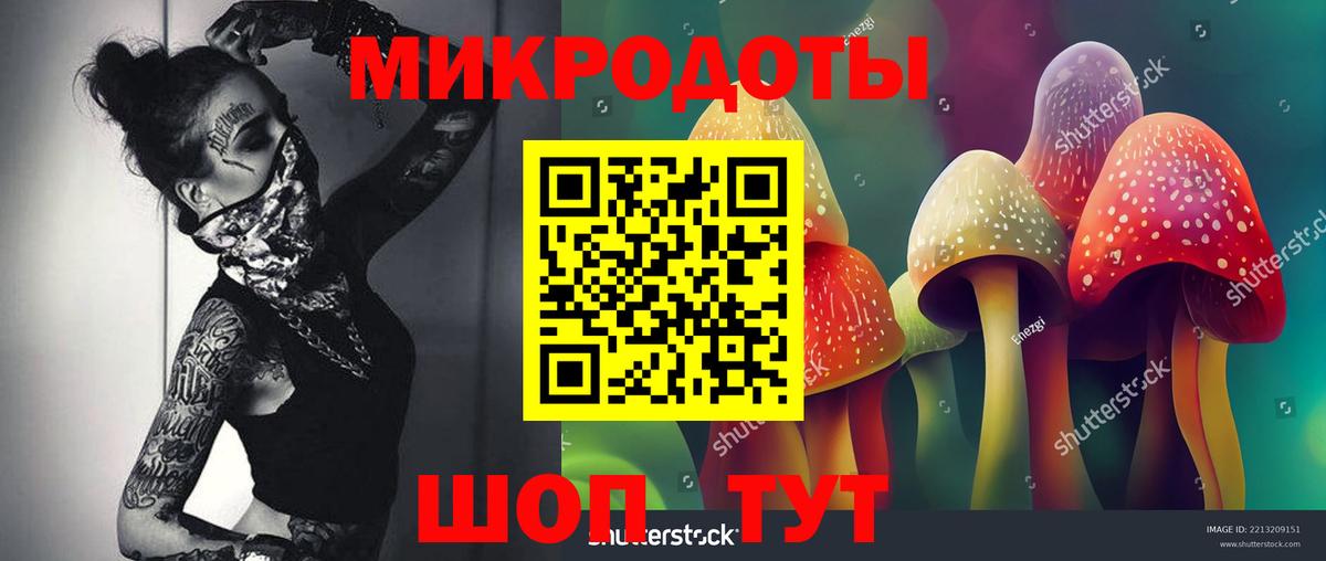 Псилоцибиновые грибы ЛСД Камышлов