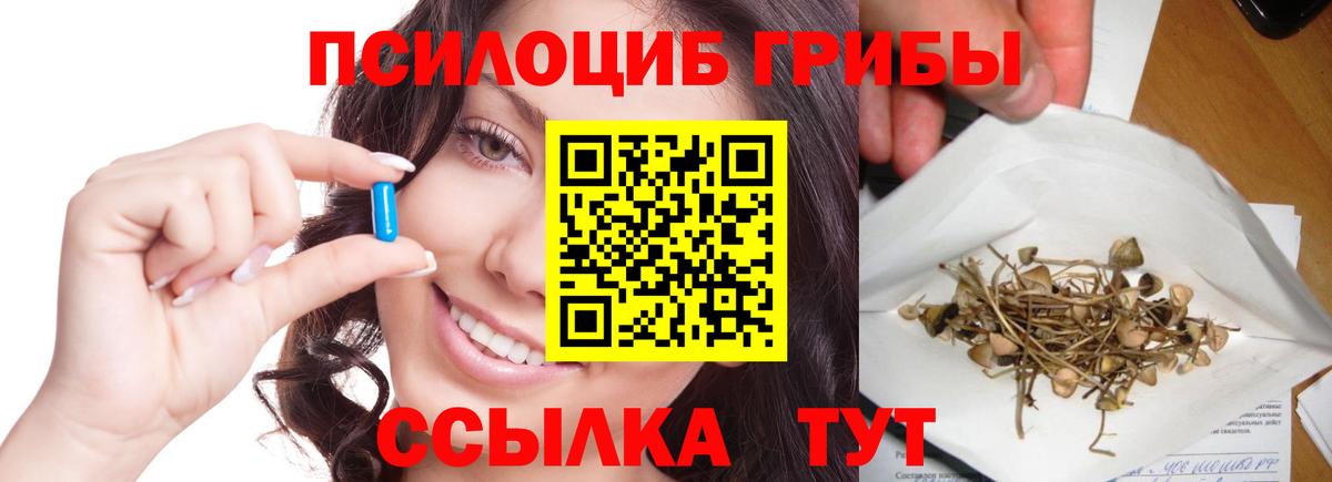 Псилоцибиновые грибы мухоморы  Вход с VPN  купить наркоту  Камышлов 